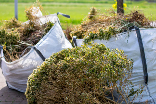 Best Affordable Junk Removal Services  in Aurora, IL